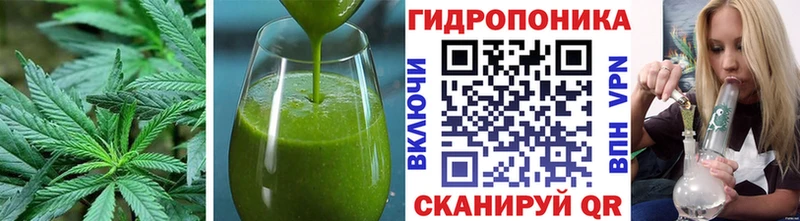 Canna-Cookies конопля  Урус-Мартан 