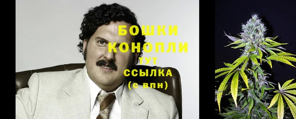 ГАЛЛЮЦИНОГЕННЫЕ ГРИБЫ Михайловка