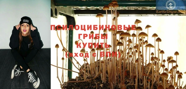спиды Абаза