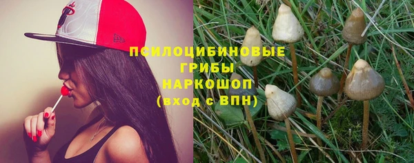 спиды Абаза