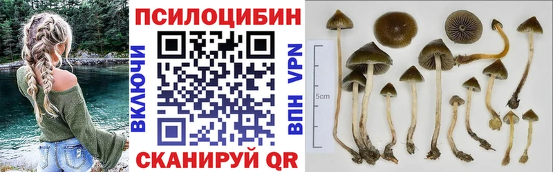 Галлюциногенные грибы прущие грибы Урус-Мартан