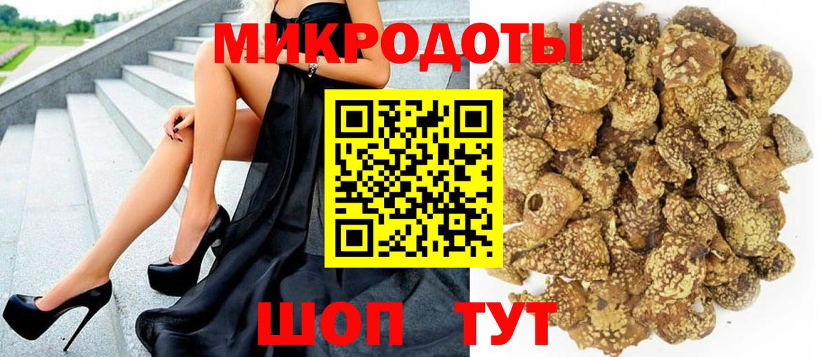 Урус-Мартан  дарнет шоп  Вход с VPN  Галлюциногенные грибы Psilocybe 