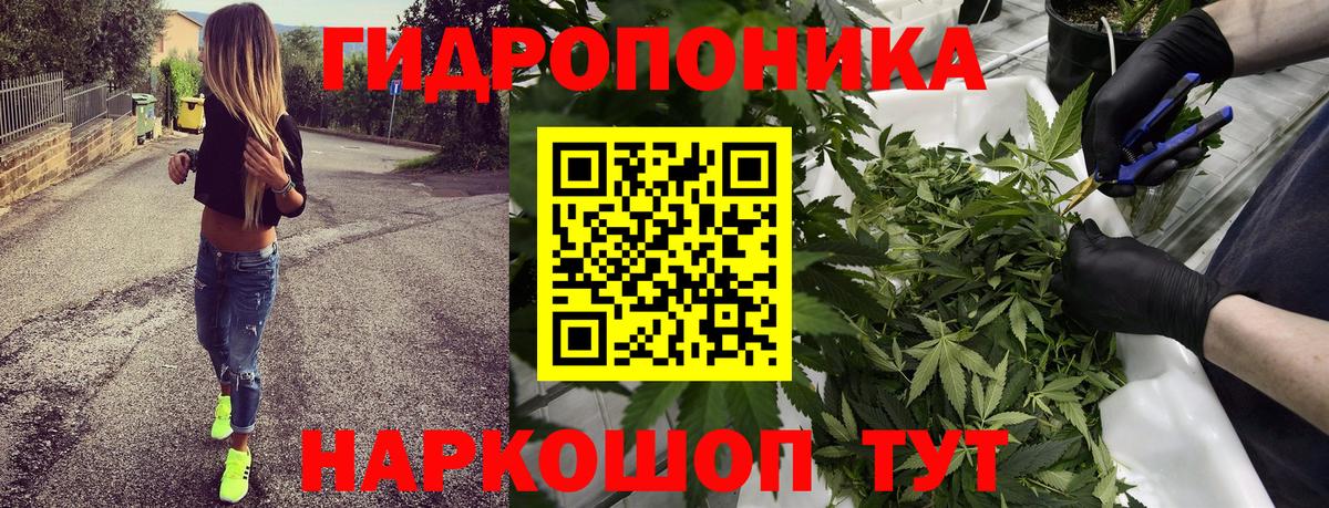 Канабис OG Kush  Марихуана SATIVA & INDICA  Марихуана конопля  Марихуана индика  Вход с VPN  Урус-Мартан 
